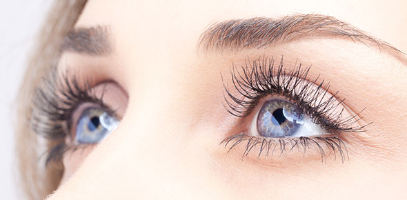 Eye Quizzes & Trivia